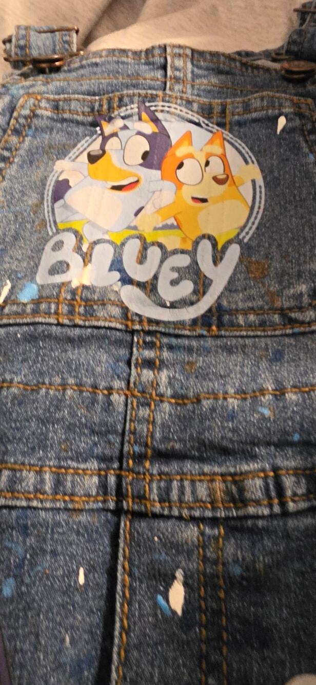 OshKosh 3T Custom Bluey Overalls Hand Painted 3rd Birthday No Stains Vestbak